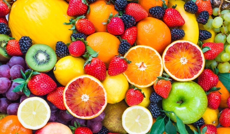 Fruit van Hocras